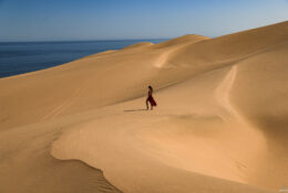Namibia_April_2025 (45/79)